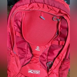 TSA approved small dog/cat backpack